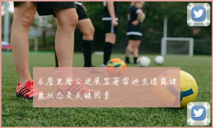 东詹里磨合进展显著雷迪克透露健康状态是关键因素
